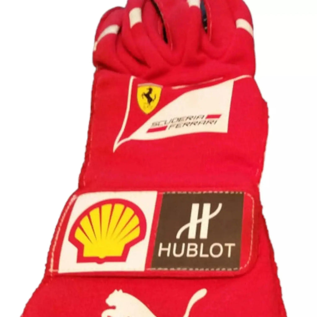 2014 Fernando Alonso gloves - Abu Dhabi GP
